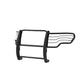 Grille Guard | Black | 17FP30MA